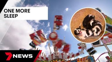 More than 100,000 expected to attend the Ekka this weekend | 7NEWS