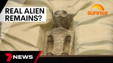 Congressional hearing in Mexico presents mummified 'alien' remains | 7NEWS