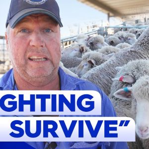Aussie farmers bracing themselves for another drought | 9 News Australia