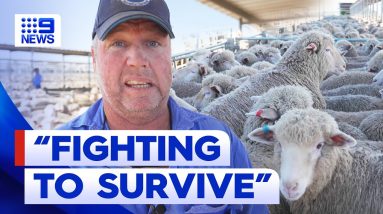 Aussie farmers bracing themselves for another drought | 9 News Australia