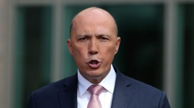 Dutton slams Albanese govt as a 'complete circus' over immigration detention saga