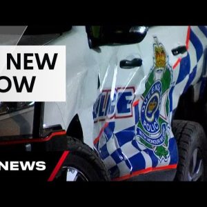 Teen thugs targets ambulances in Townsville | 7 News Australia