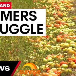 Extreme weather pushes Aussie farmers to the brink | 7 News Australia