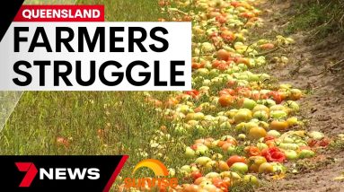 Extreme weather pushes Aussie farmers to the brink | 7 News Australia