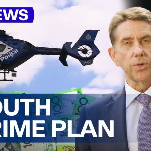 Queensland government to launch major offensive combating youth crime | 9 News Australia